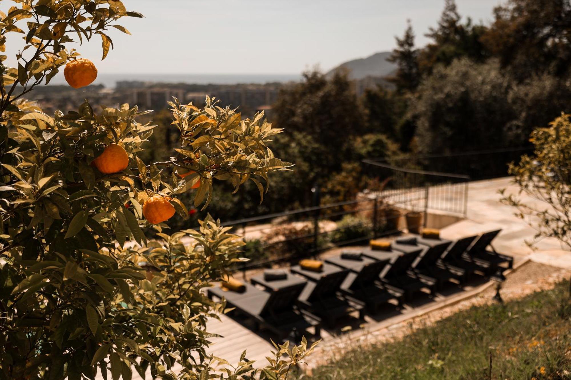 Villa Les Roches Mandelieu Zewnętrze zdjęcie