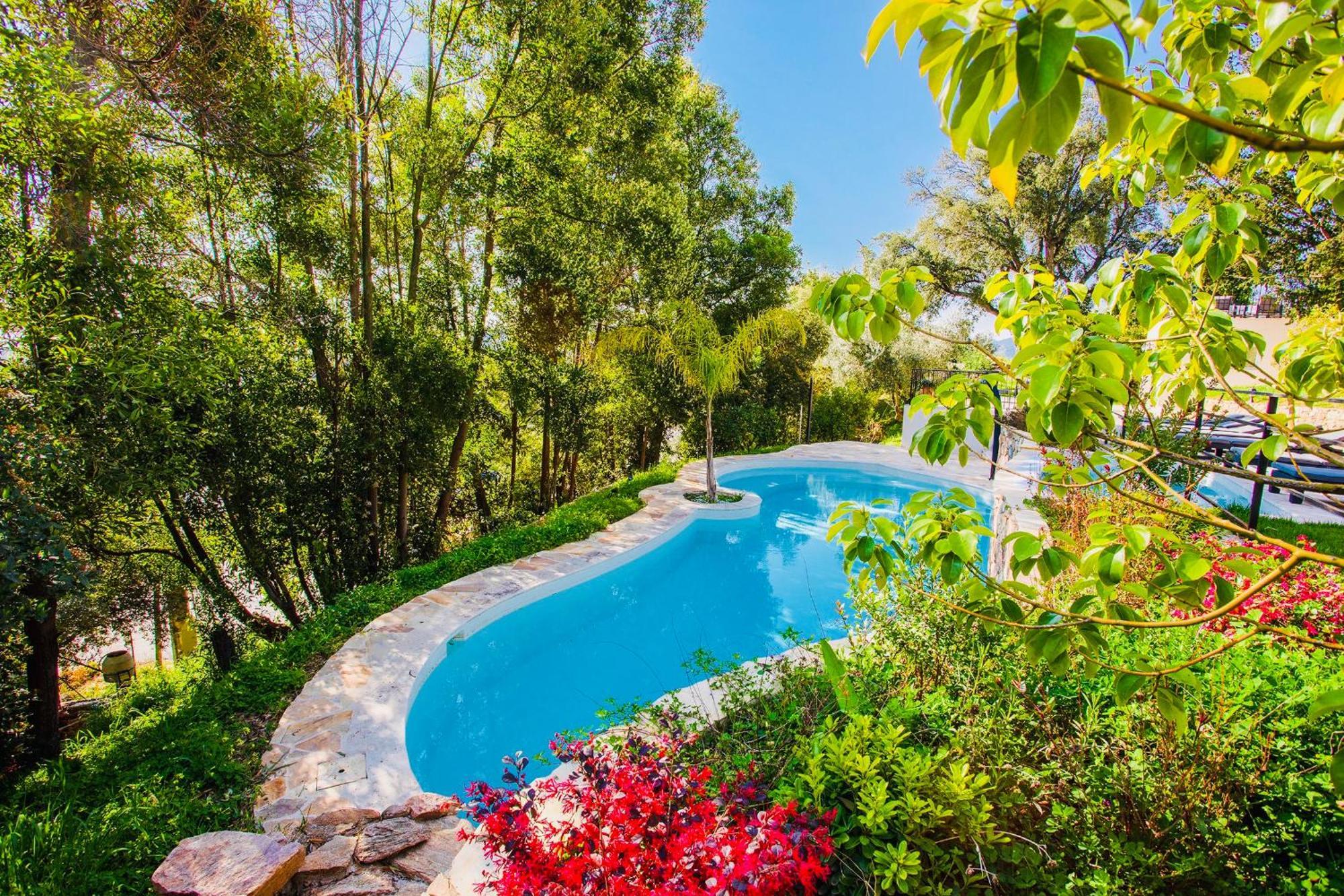 Villa Les Roches Mandelieu Zewnętrze zdjęcie